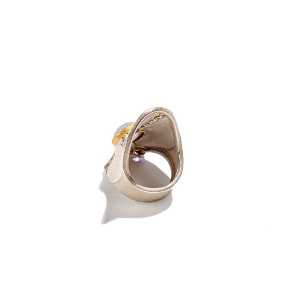 Flowers for Dorothea Ring by Peter Schmid~Atelier Zobel