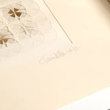 Untitled, Study in Circles I