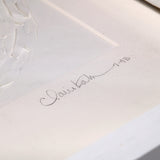 Untitled, Star Mandala I