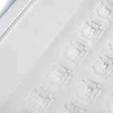 Untitled, Coffer Paper Cut