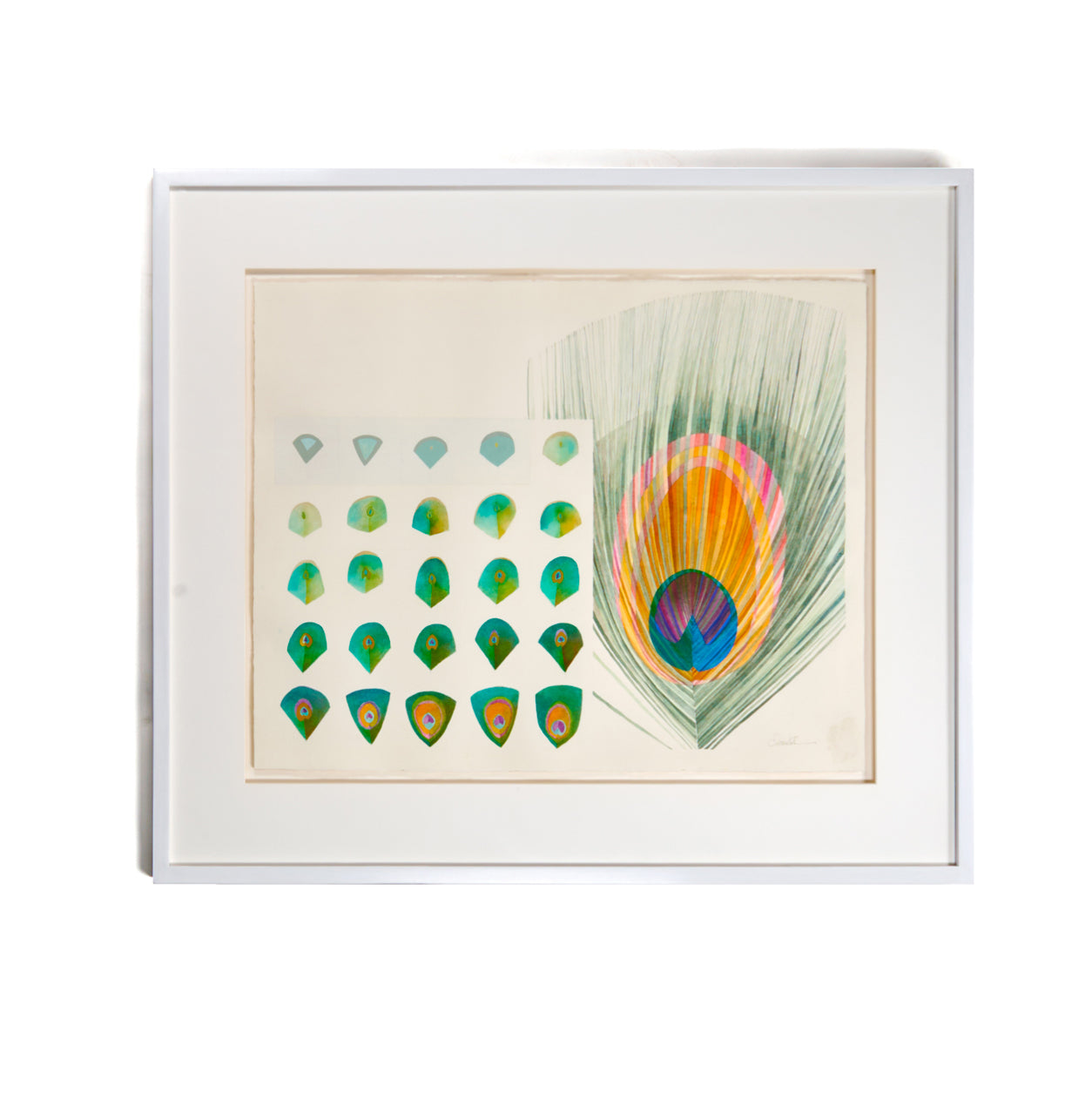 Untitled, Peacock Progression