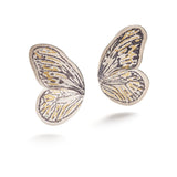 Butterfly Wings