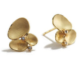 Golden Shell Cluster Earrings