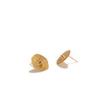 Gold Finished & Cubic Zirconia Stud Earrings